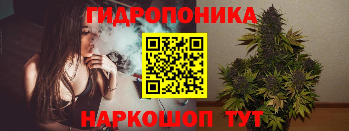 Бошки Шишки MAZAR Семёнов